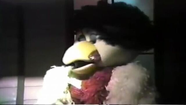 Chuck E. Cheese: Pizza Time Theatre - C-Stage Close-Ups